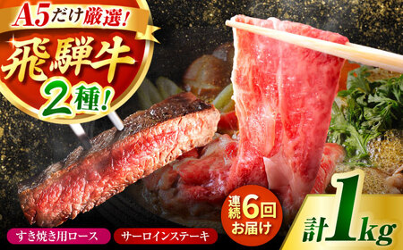【6回定期】特選飛騨牛ステーキ&すきやき用(1Kgセット) 飛騨牛 すき焼き すきやき サーロインステーキ 牛肉 定期便 肉のキング [AVAG012]