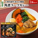 【ふるさと納税】桃豚角煮スープカレー（1食分）×2個