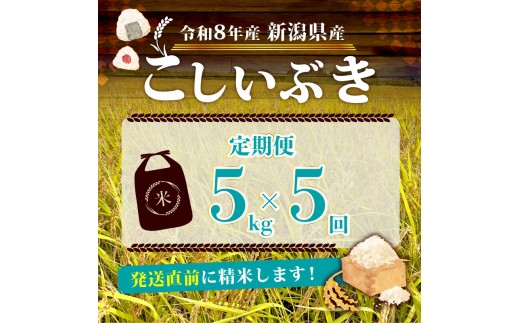 【令和8年産 先行予約】 12月発送 新米 新潟県産 こしいぶき 5kg 5か月 定期便 新発田産 新潟 ふるさと納税 米 お米 白米 米 お米 こめ コメ ライス ご飯 ごはん 美味しい 贈り物 国