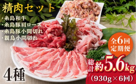 【全6回定期便】牛肉 豚肉 鶏肉 日常使いの精肉セット 930g 2～3人前 4種《糸島》【糸島ミートデリ工房】 [ACA194] 牛肉豚肉鶏肉セット定期便 牛肉豚肉鶏肉セット定期便 牛肉豚肉鶏肉セット定期便