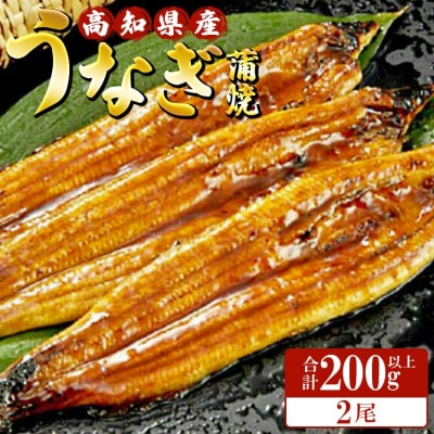 高知県産養殖うなぎ蒲焼 100～120g 2尾セット(合計200g以上)ss-0044