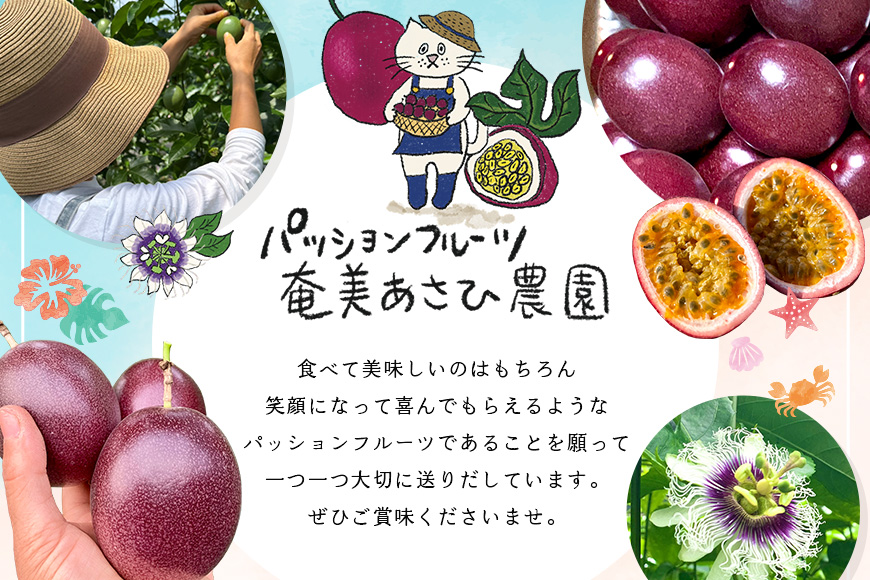 【2027年先行予約】【情熱のタマ】奄美産パッションフルーツ 3.5kg（45玉前後）　A203-001-02