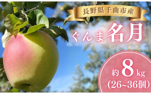 ぐんま名月 約8kg (26個~36個) 【半蔵農園】 | ぐんま 名月 りんご 林檎 リンゴ 信州りんご 長野県 千曲市
