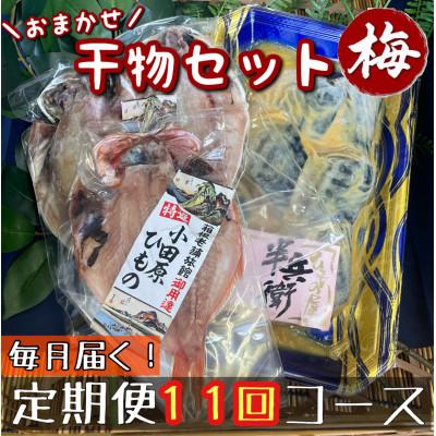 ふるさと納税 小田原市 【毎月定期便】厳選!おまかせ干物セット【梅】小田原の美味しい干物!【神奈川県小田原市早川】全11回