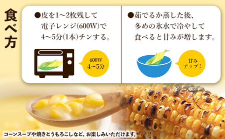 朝採れスイートコーン 4.5kg (12～15本) - 野菜 とうもろこし とうきび トウキビ BBQ キャンプ 旬 おやつ 特産品 数量限定 季節限定 期間限定 sg-0006