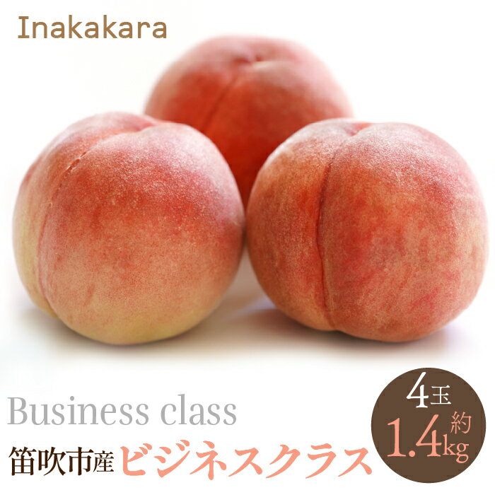 【ふるさと納税】【2026年発送★先行予約】【笛吹市産】Inakakara ビジネスクラス 桃4玉(1玉約350g) ふるさと納税 おすすめ ランキング もも 桃 笛吹市 国産 人気 期間限定 果物 フルーツ 旬 山梨県 送料無料 192-019