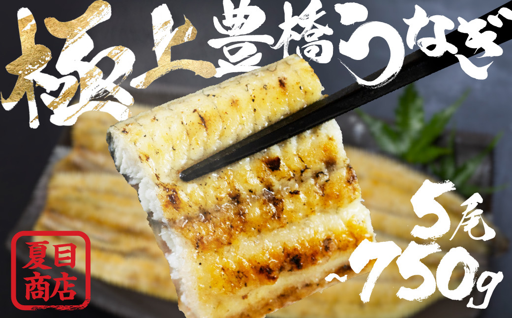 
                  極上 豊橋うなぎ 白焼 5尾 750g 夏目商店 国産 人気 うなぎ蒲焼 うなぎ蒲焼 選べる お届け時期 鰻 うなぎ unagi ウナギ 蒲焼 長蒲焼 国産うなぎ 上 特上 年内お届け 年内発送 年内発送 贈答 ギフト お歳暮 プレゼント お祝い 誕生日 土用の丑の日 愛知県 豊橋市
                