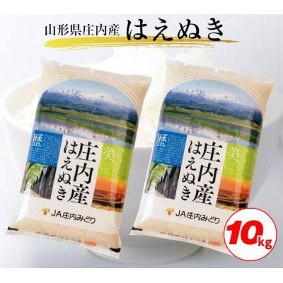 ふるさと納税 酒田市 令和7年産【精米】はえぬき 10kg(5kg×2袋) 白米 山形県庄内産