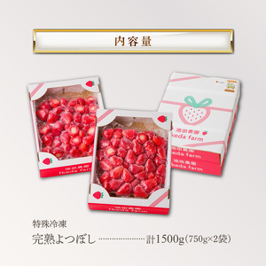 旬のおいしさそのまま！池田農園の特殊冷凍よつぼし1.5kg_いちご 特殊冷凍 よつぼし 1.5kg 750g × 2 旬 美味しい 完熟 甘い 濃厚 アートロックフリーザー サクサク 食感 栄養 池田