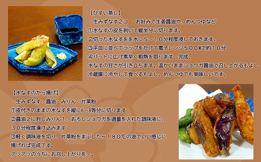 みずなす漬け5個＋生みずなす5個セット