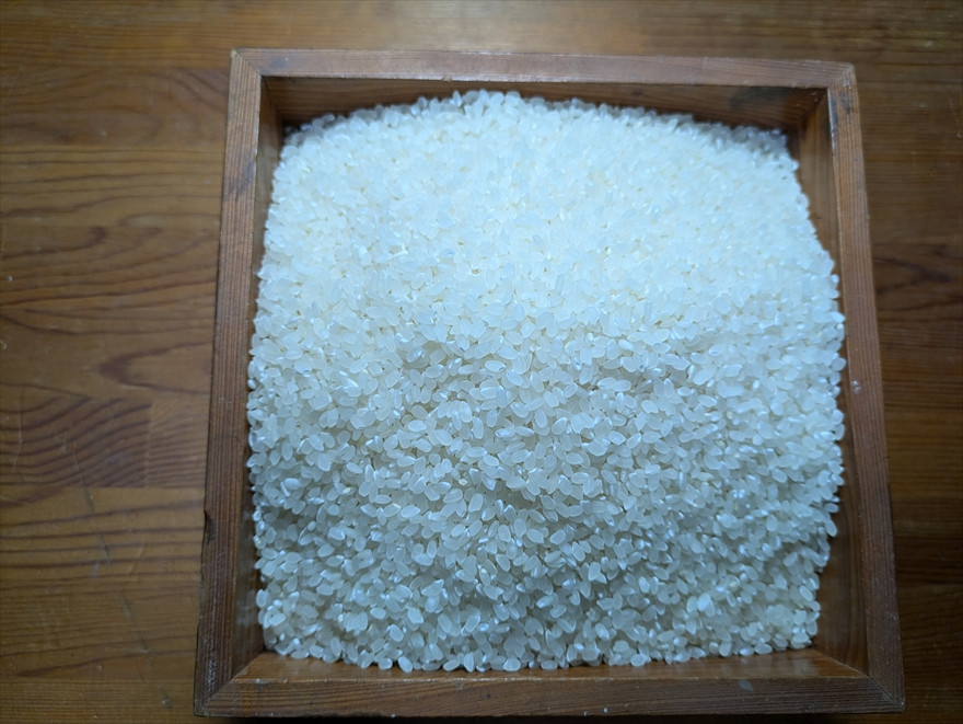 
                  有機JAS認定 丹波市産 コシヒカリ 3kg 農薬・化学肥料不使用 山間清流米 兵庫県
                
