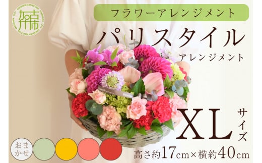 【フラワーアレンジメント】パリスタイルアレンジメント(XLサイズ)Blossom select【2406U03809_05】