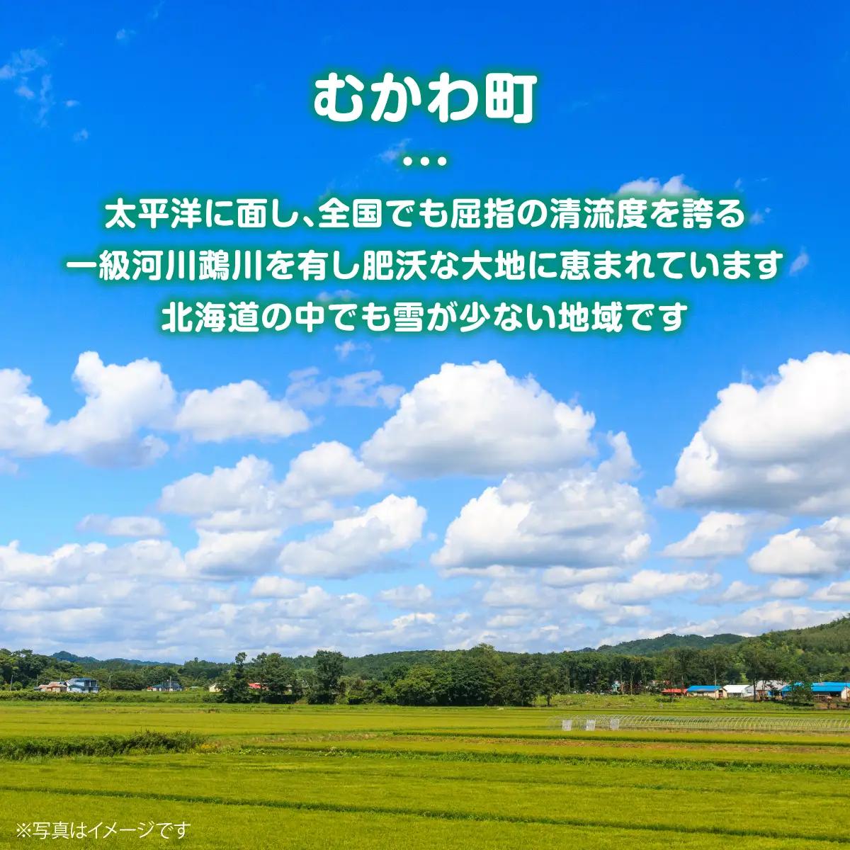 北海道 むかわ町産羊肉『どさんこシープ』の薄切りスライス(250g) MKWAJ001