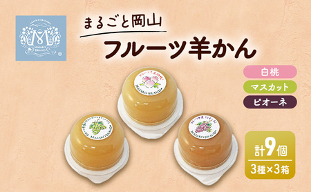 ようかん フルーツ 羊羹 3 ケース （ 白桃 ・ マスカット ・ ピオーネ 各1個） 桃 もも ぶどう 和菓子 ようかん