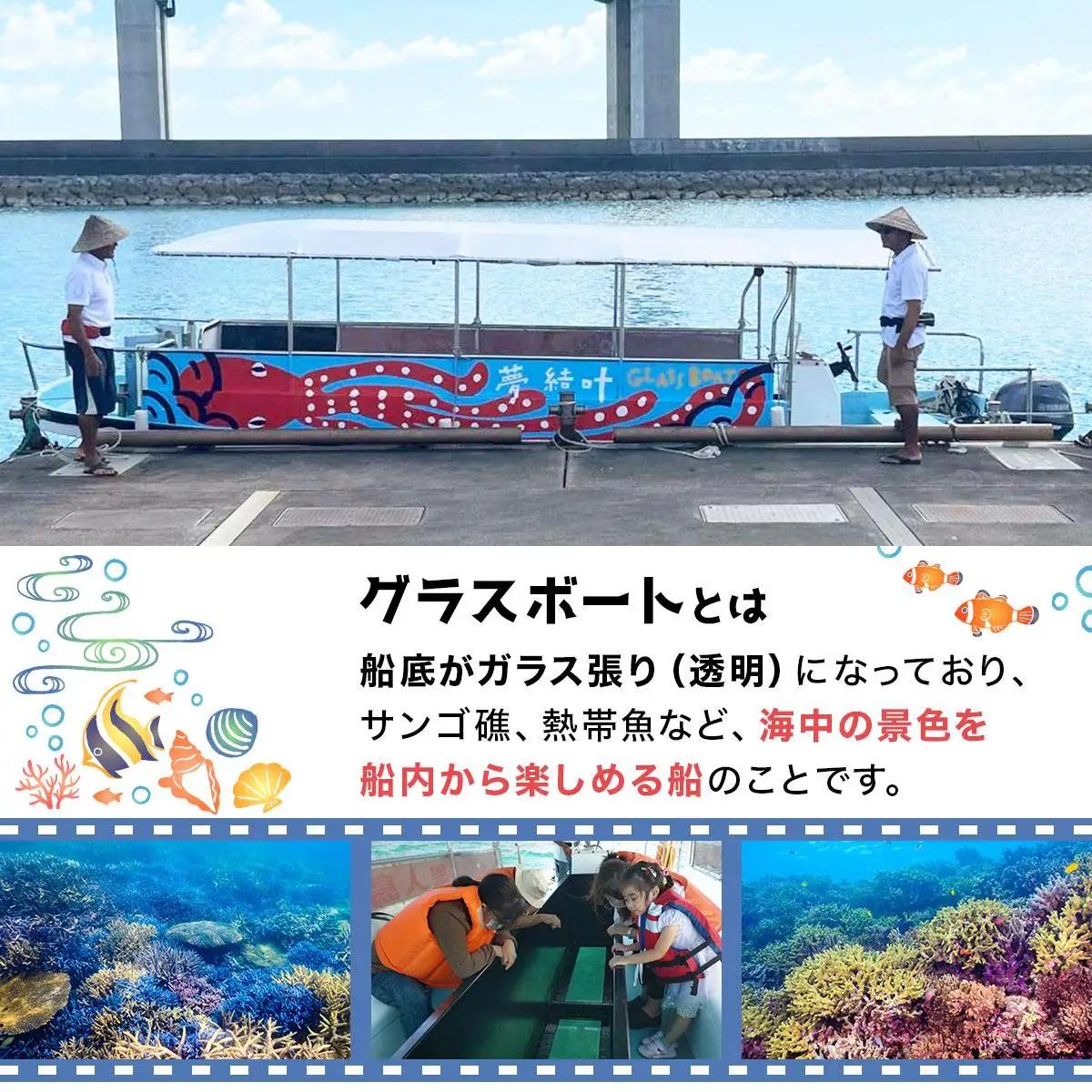 グラスボート体験 1名分