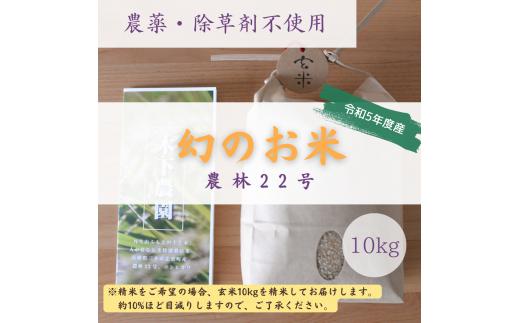 NC-9 新米令和5年度産・農薬不使用『幻のお米農林22号』10キロ【玄米】