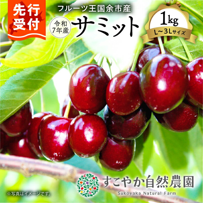 【ふるさと納税】2025年発送【先行予約】令和7年産 サミット【L～2Lサイズ】1Kg【すこやか自然農園】北海道 余市 フルーツ デザート 果物 季節限定 とれたて 甘み 鮮やかな紅色 お取り寄せ 有機栽培 JAS認定 有機堆肥 酸味 バランス 濃厚 果汁 北海道 余市町 送料無料