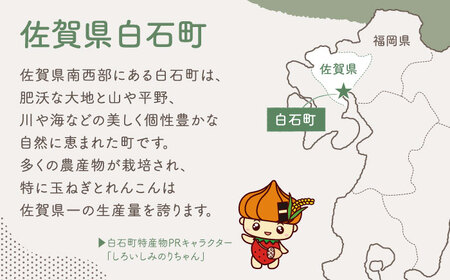 【返礼品なし】佐賀県白石町 ふるさとづくり応援寄附金（1000円分）  [IZY003]