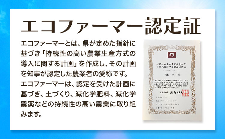 梨 なし 甘太梨 約5kg(5～18玉前後) 坂村梨園 《8月中旬-11月上旬頃出荷》熊本県 玉東町 秋 旬 梨 フルーツ 果物 期間限定---gkt_skmr_3_5kg---