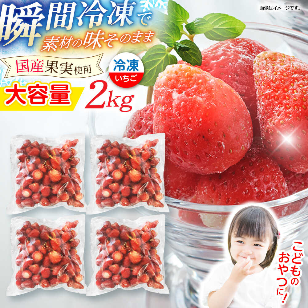 【ふるさと納税】【業務用】大容量 冷凍いちご 4袋セット / 長崎 冷凍 冷凍フルーツ いちご イチゴ 苺 2kg / 諫早市 / エスジーエス株式会社[AHEQ005]