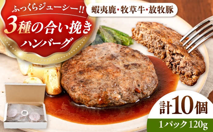
            【蝦夷鹿×牧草牛×放牧豚】ハンバーグ 10個《厚真町》【GOODGOOD株式会社】 ハンバーグ 鹿肉 牛肉 豚肉 ジビエ 小分け 冷凍配送 北海道 [AXBP004]
          