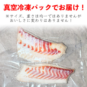 （冷凍） 【2月発送分】 国産 養殖 真鯛 500g ／ 長栄丸 ふるさと納税 鯛 タイ たい 小分けパック 短冊 刺身 しゃぶしゃぶ 三重県 大紀町