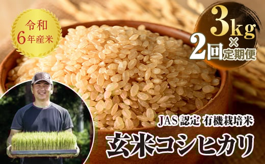 ＜定期便2ヶ月＞ JAS認定 有機栽培米 西会津産米コシヒカリ 玄米 3kg F4D-1256