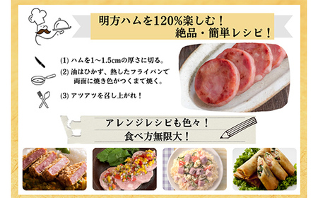 明方ハム 3本セット 計1050g 【JAめぐみの農業協同組合】ハム おつまみ 惣菜 晩酌 ディナー 弁当 ビール ワイン 酒のお供 大容量 まとめ買い 詰め合わせ 肉 食品 国産 豚肉 岐阜県 坂祝