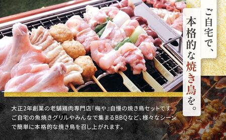 鶏肉専門店の焼き鳥セット（焼き鳥20本・チキンソーセージ２本・焼き鳥たれ(10ml)４パック付） AGQ0003