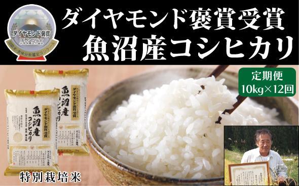 【令和8年産先行予約】【12ヶ月定期便】最高級魚沼産こしひかり【ダイヤモンド褒賞受賞 特別栽培米】 10kg（5kg×2袋）×全12回