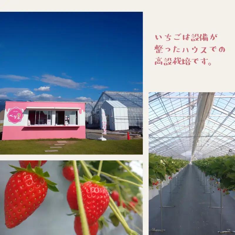 アイスクリーム 3種セットアイス