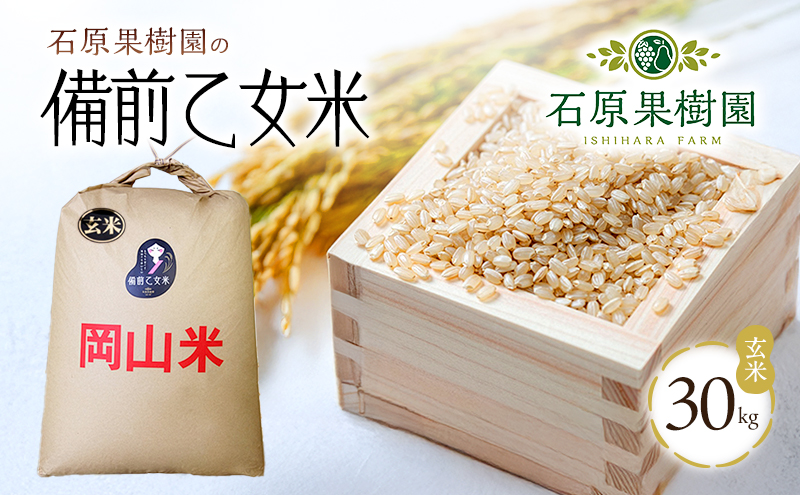 米 令和7年産 石原果樹園の備前乙女米 玄米 30kg×1袋 ※11月上旬～順次発送予定 お米 ライス  乳酸菌栽培 岡山県 おにぎり お弁当
