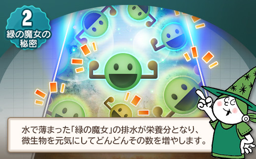 環境配慮型洗剤 緑の魔女バス2L×8本セット | 洗剤 液体 環境配慮 バス用 浴槽 湯あか 大容量 1万件以上の口コミ 世界中で愛される ヌメリ 皮脂汚れ 中性タイプ 日常品 お風呂洗剤 バス用洗剤