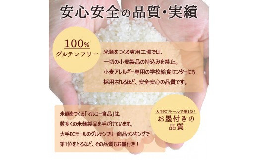 つるもち食感！グルテンフリー米麺 大容量詰め合わせ60食（精米・玄米 各30食ずつ）