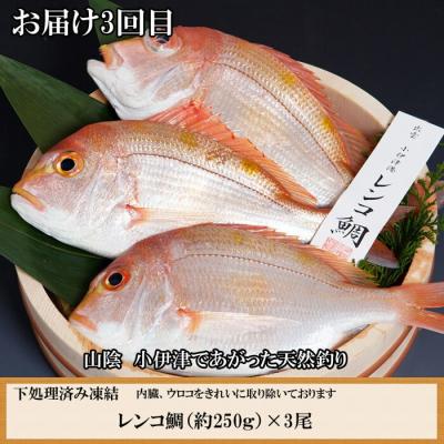 ふるさと納税 出雲市 【定期便3回】風味豊かな出雲のお魚詰合せをお届けします! |  | 03
