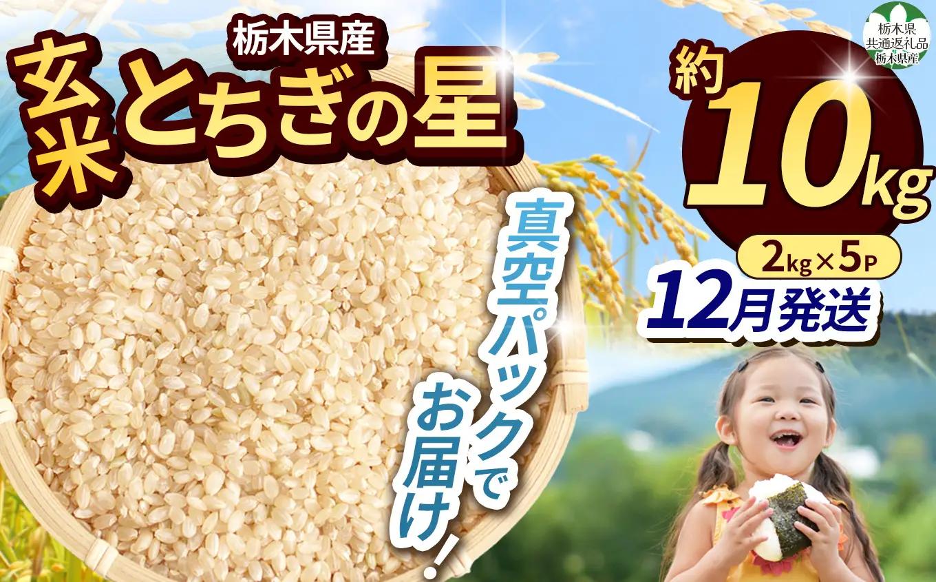 【栃木県共通返礼品】【先行予約】【12月発送分】令和8年度新米 栃木県産とちぎの星（玄米真空パック) 約2kg×5  |  栃木県 那珂川町 送料無料