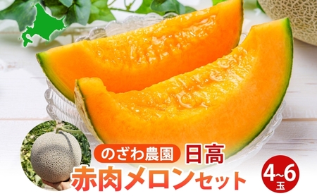 【 ふるさと納税 】のざわ農園 日高 赤肉メロン 4～6玉 約8kg～9kgめろん メロン 甘い 夏 フルーツ 果実 ルピアレッド  糖度 甘み 濃厚 肥料 贈り物 お中元 お歳暮 常温 冷蔵庫 家族 デザート のざわ農園 北海道 日高町