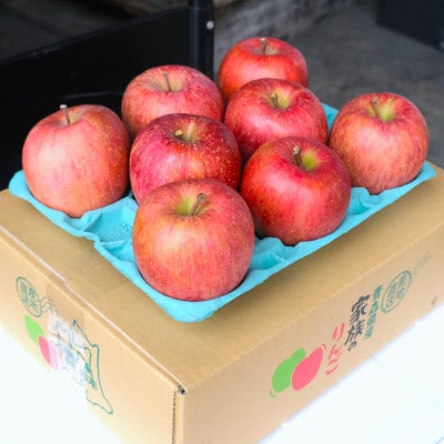 【25年11月出荷予定】平均糖度13度以上! サンふじ 約3kg 贈答用【配送不可地域：離島・沖縄】【1612830】