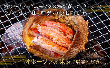オホーツクの毛ガニ　[500g～550g×1尾]【配送不可地域：離島】 かに カニ 蟹 毛ガニ 北海道 美幌町 送料無料 BHRI002