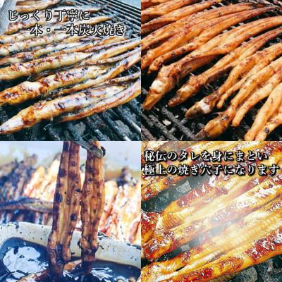 ふるさと納税 備前市 鈴木鮮魚 訳あり 国産 炭火焼き穴子 300g 5〜11本入 小タレ付 3〜4人前 |  | 02