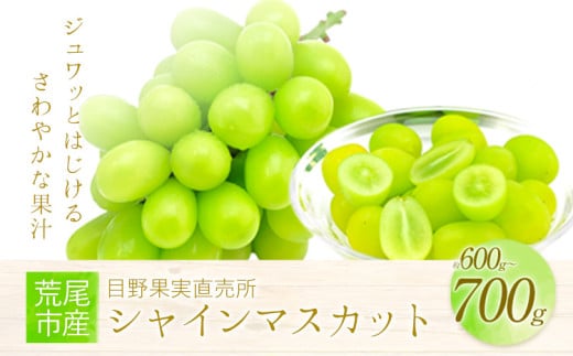 シャインマスカット 目野果実直売所のシャインマスカット 約600g～700g フルーツ 果物 新鮮 マスカット 《8月上旬-9月下旬頃出荷》 目野果実直売所
