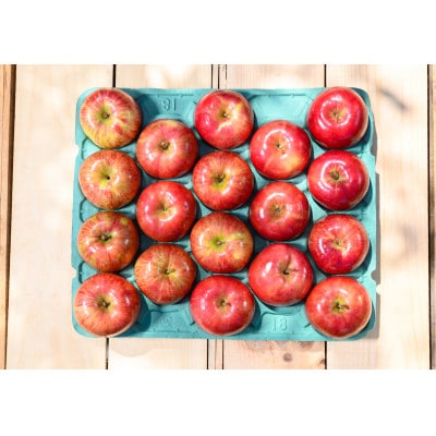 【2025年10月発送予定】平均糖度12度以上! 葉とらずサンつがる 約10kg おもてなし用【配送不可地域：離島・沖縄県】