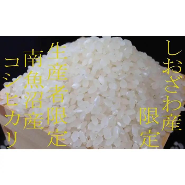【令和7年】【定期便8kg×6ヶ月】しおざわ産限定 生産者限定 南魚沼産コシヒカリ｜定期便