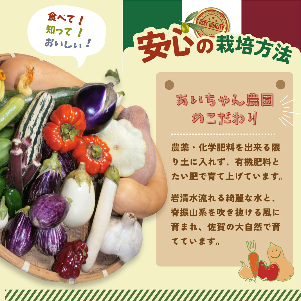 年間定期便24回 イタリア野菜セットショート 7品 【有機野菜 おまかせ野菜セット イタリア野菜 西洋野菜 定期便】(H078147)