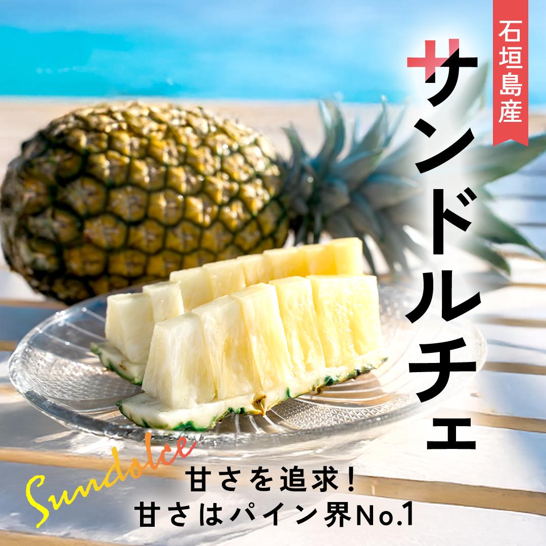 
            【先行予約】《2025年夏季 順次発送》サンドルチェ大玉6個 計7.2kg【 産地直送 沖縄 石垣 フルーツ パイナップル パイン サンドルチェ 】SI-43
          