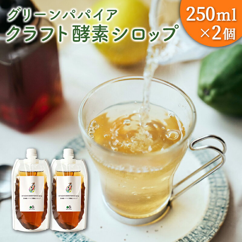 【ふるさと納税】クラフト酵素シロップ グリーンパパイア 250ml×2個 宮崎県産
