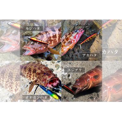 ふるさと納税 飯塚市 RUDIE‘Sの魚極ペン100(25g)全6カラーセット 釣り具 ルアー |  | 02