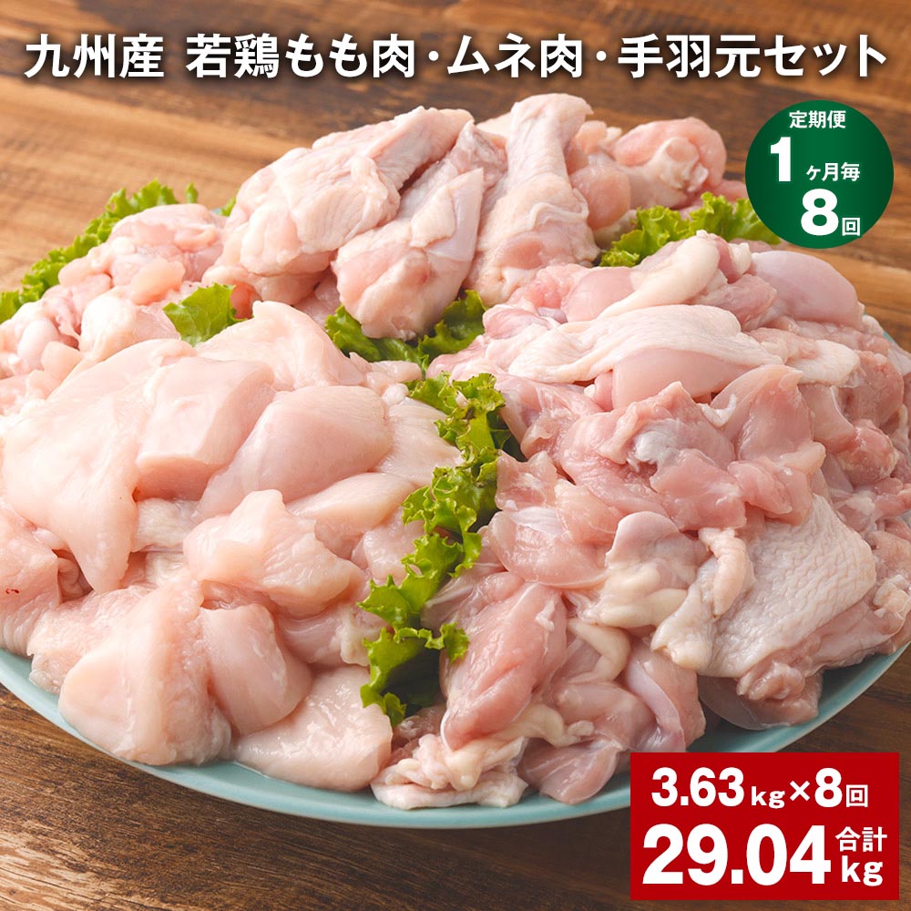 【ふるさと納税】【定期便】【1ヶ月毎8回】九州産 若鶏もも肉・ムネ肉・手羽元セット 計29.04kg（3.63kg×8回）鶏肉 肉 鶏 手羽 手羽元 唐揚げ 詰め合わせ セット 冷凍 九州 国産 熊本県 菊池市 送料無料《お申し込みの翌月から出荷》