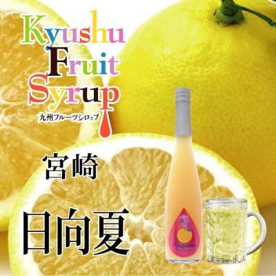 ふるさと納税 水俣市 九州を飲む! 九州果実 シロップ 日向夏 500ml 1本 【福田農場】