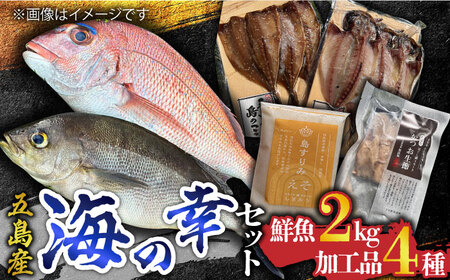【五島列島・直送】五島の海の幸セット 魚 鮮魚 五島市 / 鯛福丸水産 [PDP009]  魚 鮮魚 セット 海鮮 直送 さかな 詰合せ 冷蔵 定期